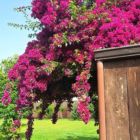 Villa Lucilla Altavilla Silentina Kültér fotó