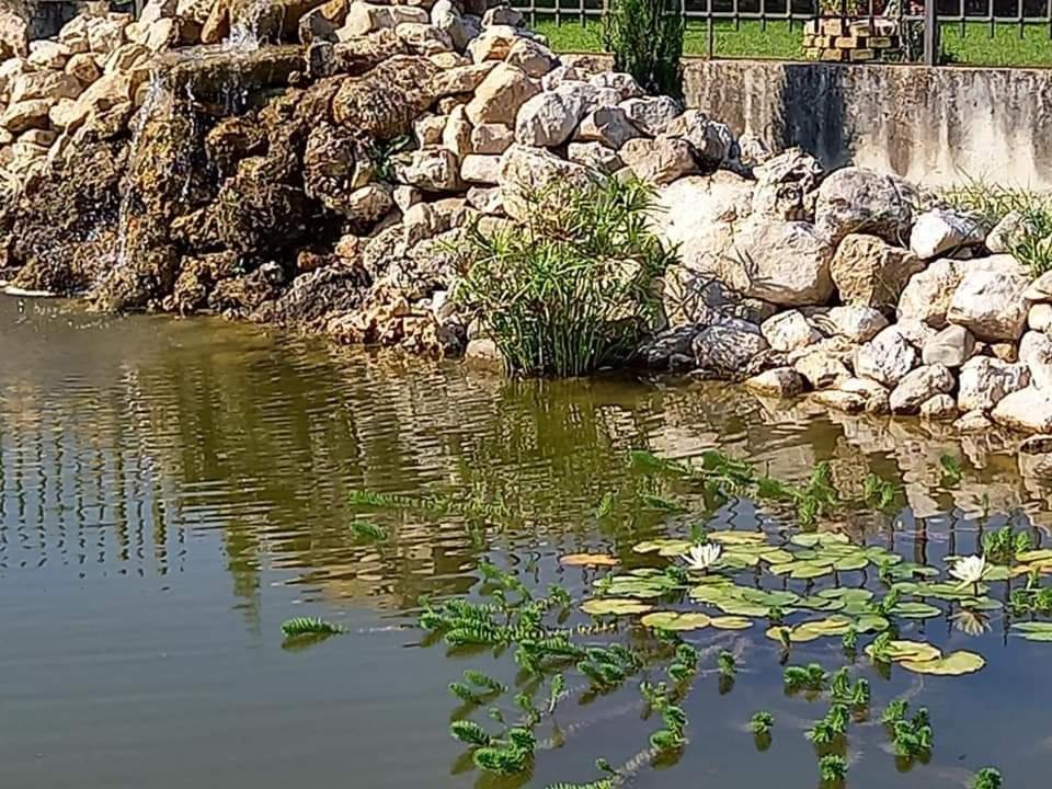 Villa Lucilla Altavilla Silentina Kültér fotó