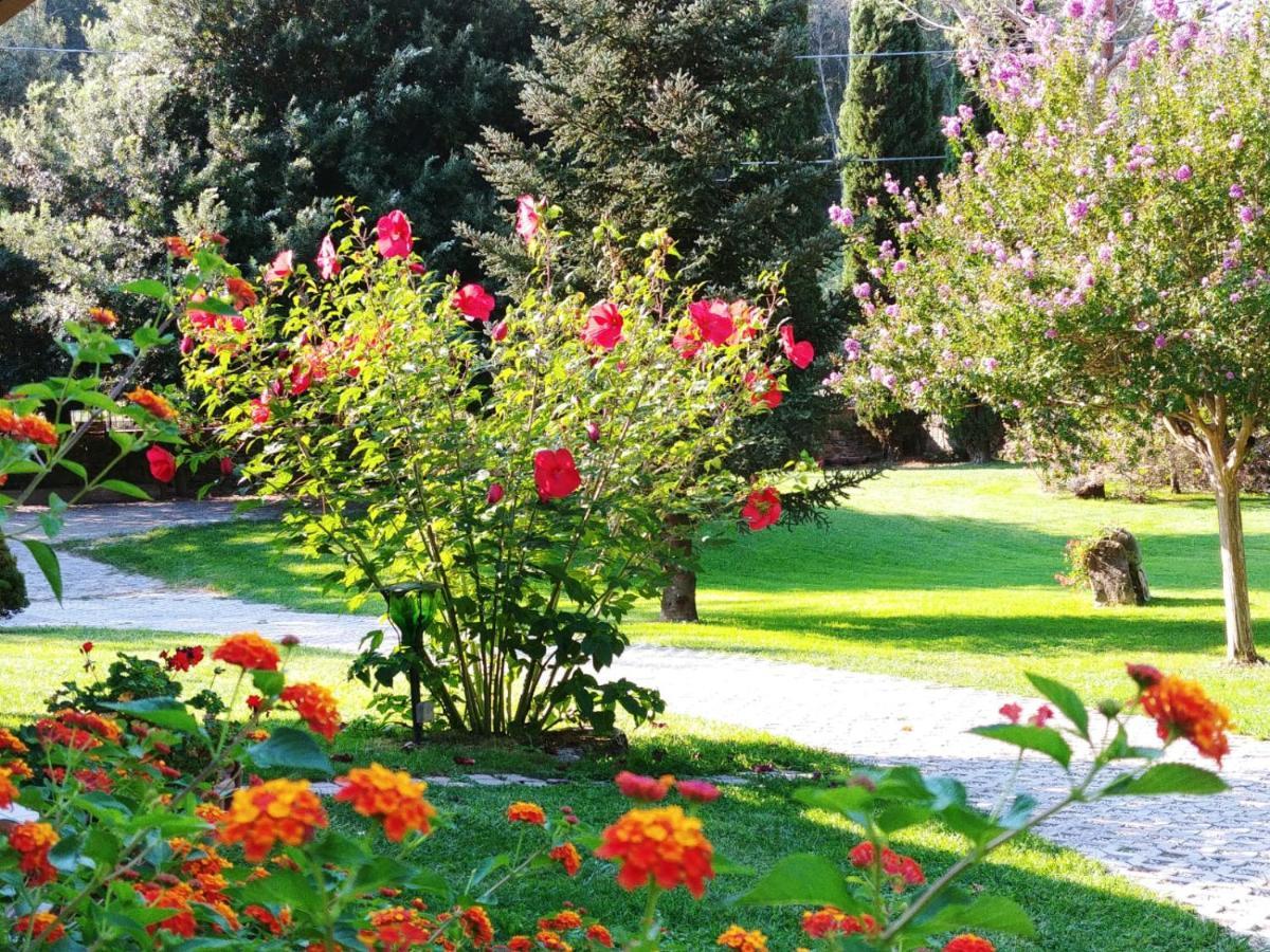 Villa Lucilla Altavilla Silentina Kültér fotó