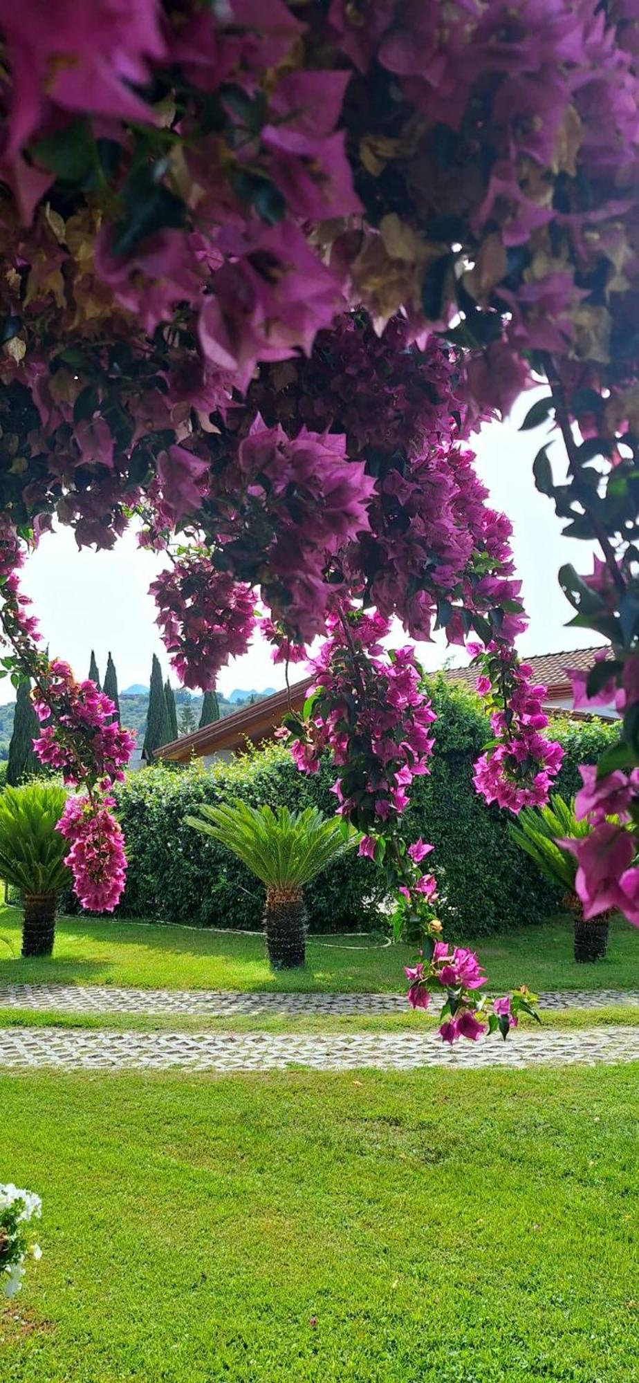 Villa Lucilla Altavilla Silentina Kültér fotó