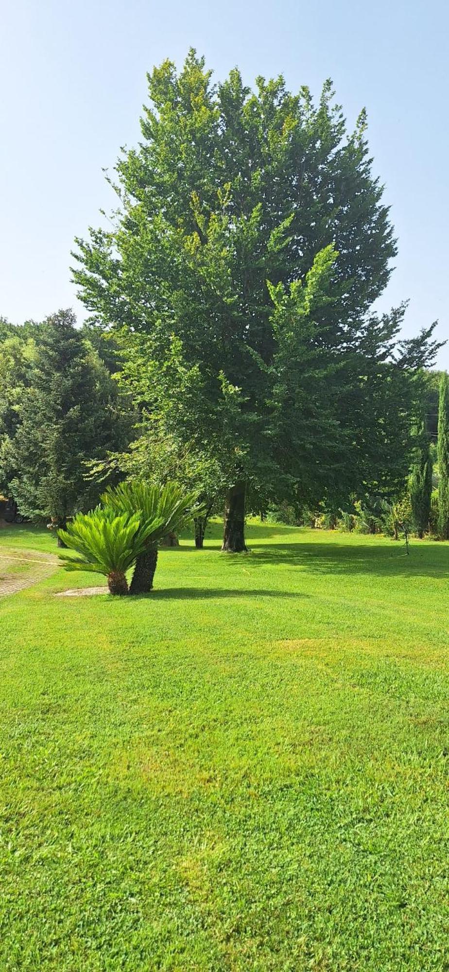 Villa Lucilla Altavilla Silentina Kültér fotó